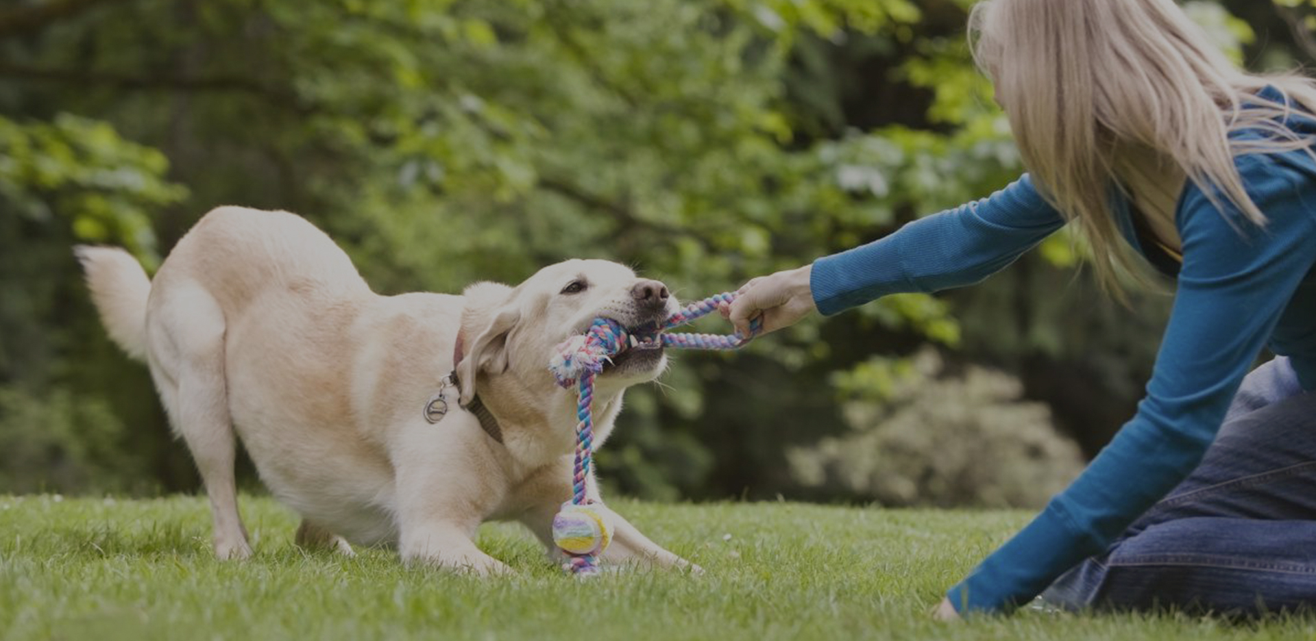 Thiệu Hưng Beste Pet Supplies Co., Ltd.